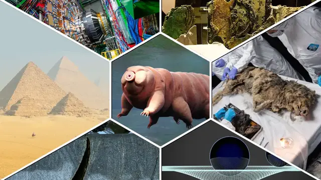 2024-cü ilin ən yaxşı 7 elm hadisəsi 