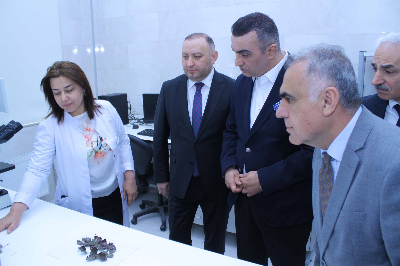 ADAU-da yeni kənd təsərrüfatı ixtisasları açılacaq