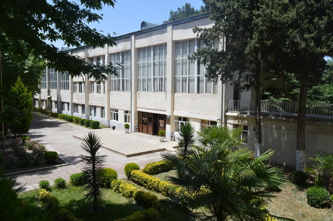 Ağcabədidə imtahan həyəcanı: valideyni ilə gələnlər, dua edənlər, qaydaları pozanlar… – REPORTAJ 