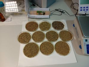 Aşqarlar Kimyası İnstitutu ilə Türkiyə universitetləri arasında elmi əlaqələr genişləndirilir