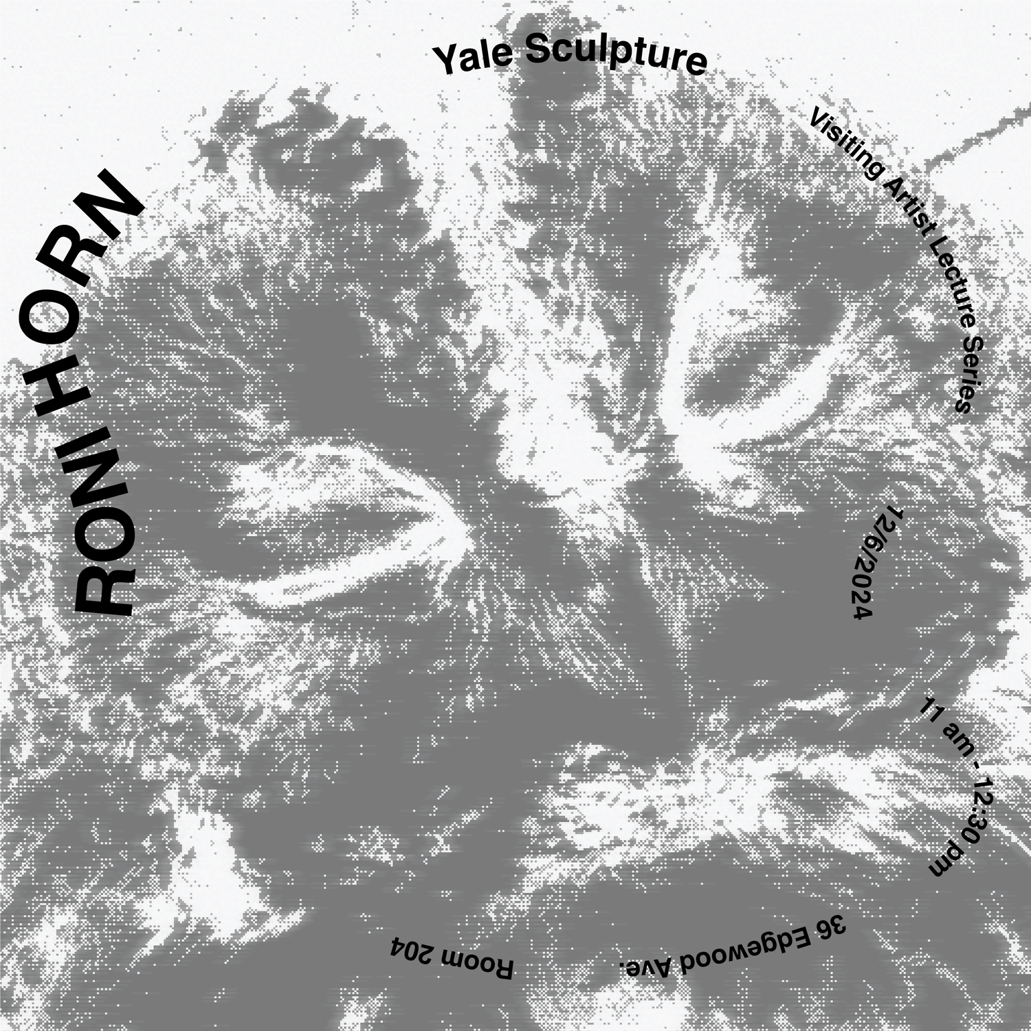 “Azad olunmuş ərazilərimizin bərpasında iştirak etməkdən şərəf duyaram” – Yale Universitetinin tələbəsi 