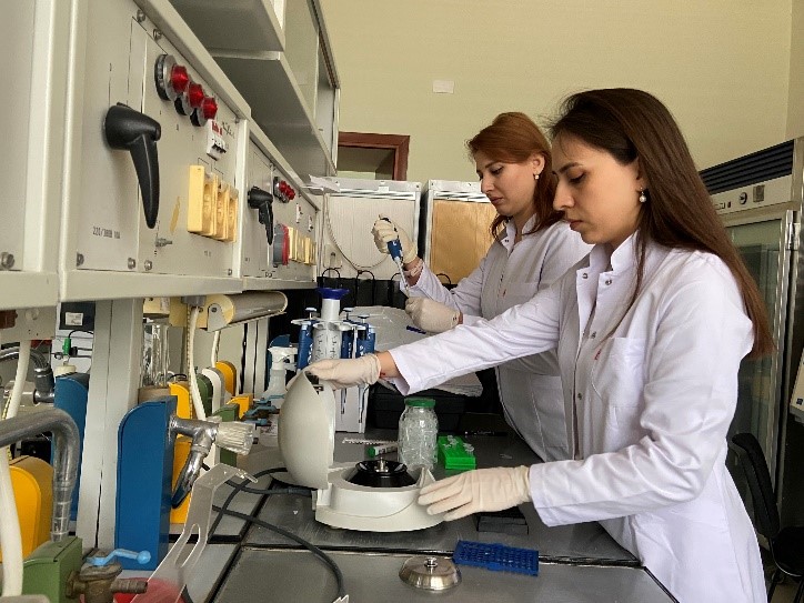 Azərbaycan alimləri dünyada ilk dəfə fitoplazmalar arasında rekombinasiyanı aşkar ediblər