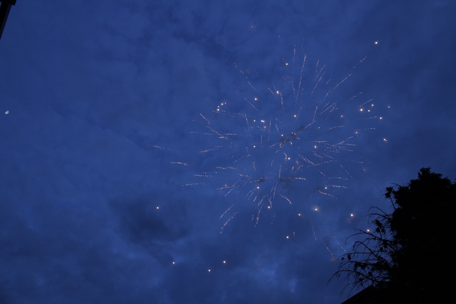 Azərbaycan Dövlət Aqrar Universitetində “Məzun günü” keçirilib