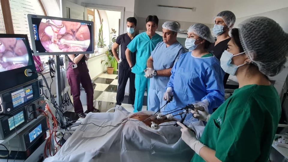 Azərbaycanda ilk dəfə rezidentlər donuz üzərində əməliyyat apardılar 