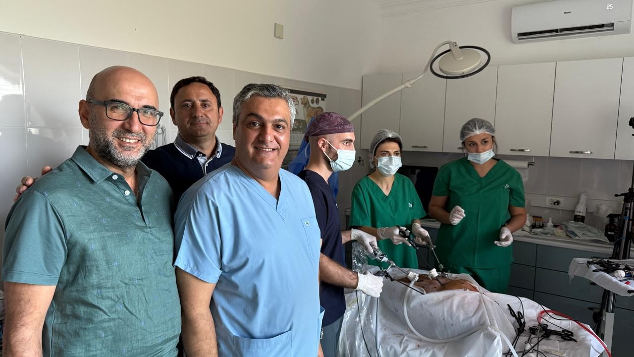 Azərbaycanda ilk dəfə rezidentlər donuz üzərində əməliyyat apardılar