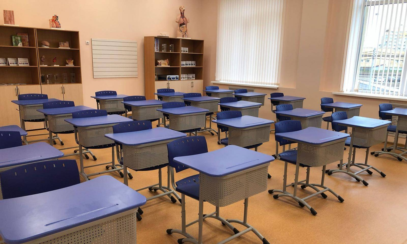 Azərbaycandakı özəl məktəblərin sayı açıqlanıb 