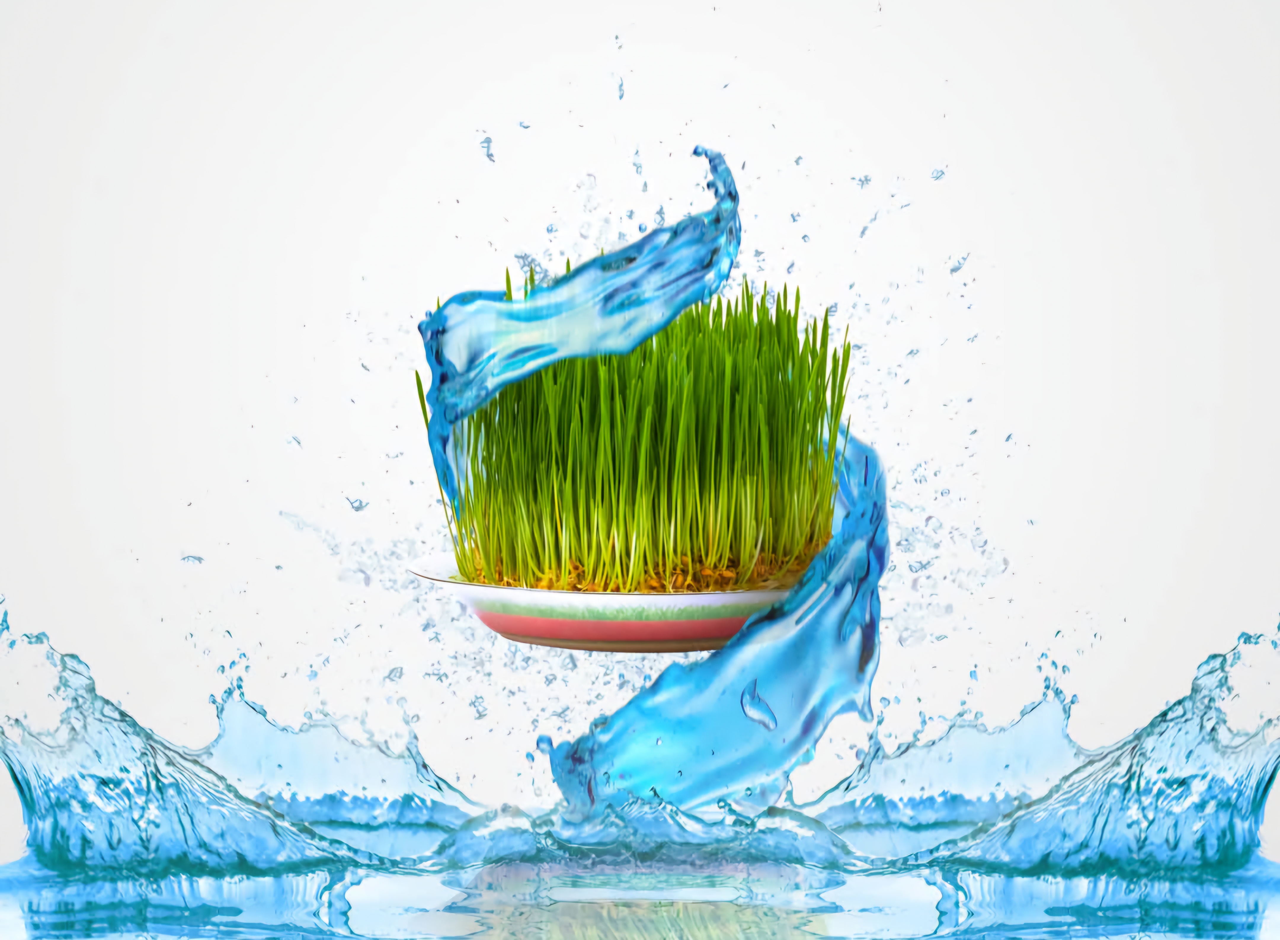 Baharın ilk pıçıltısı - Su çərşənbəsi 