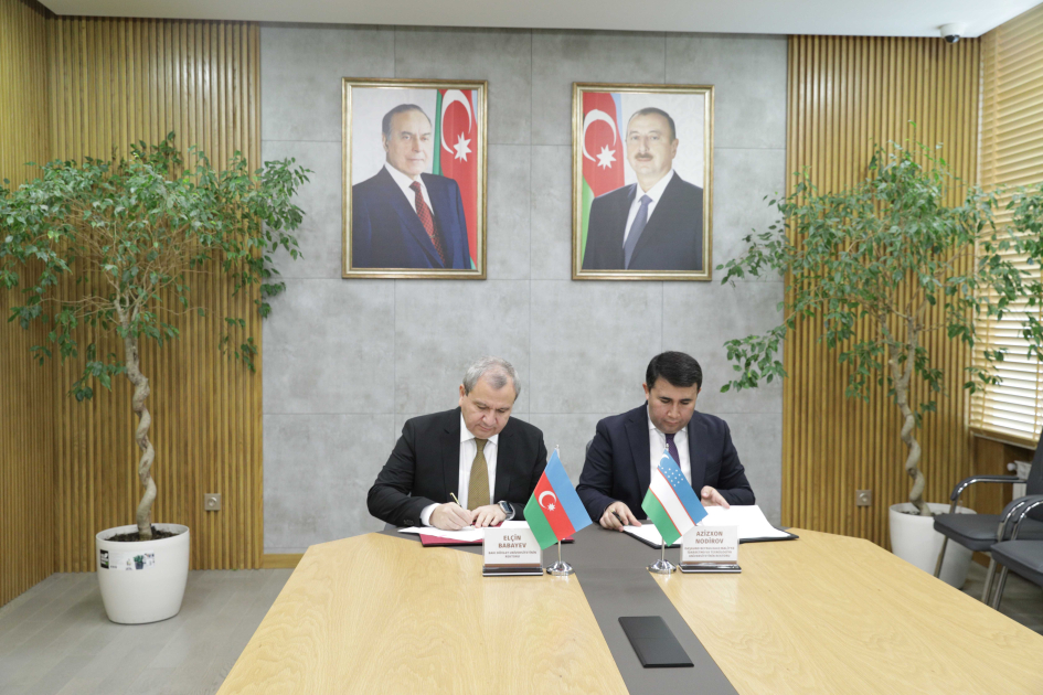 BDU Özbəkistan universiteti ilə ortaq proqramlar hazırlayacaq