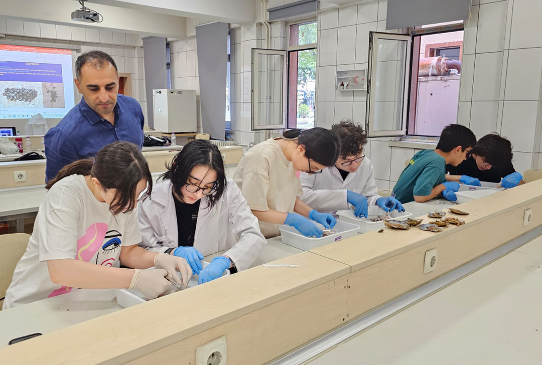 Beynəlxalq olimpiadaya qatılacaq komanda üzvləri laboratoriya hazırlıq dərslərinə cəlb ediliblər