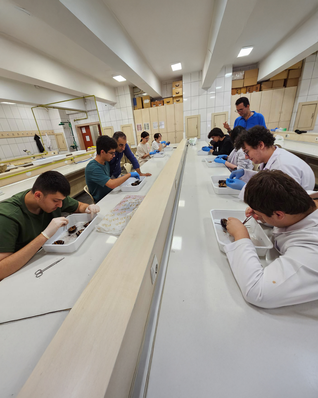 Beynəlxalq olimpiadaya qatılacaq komanda üzvləri laboratoriya hazırlıq dərslərinə cəlb ediliblər