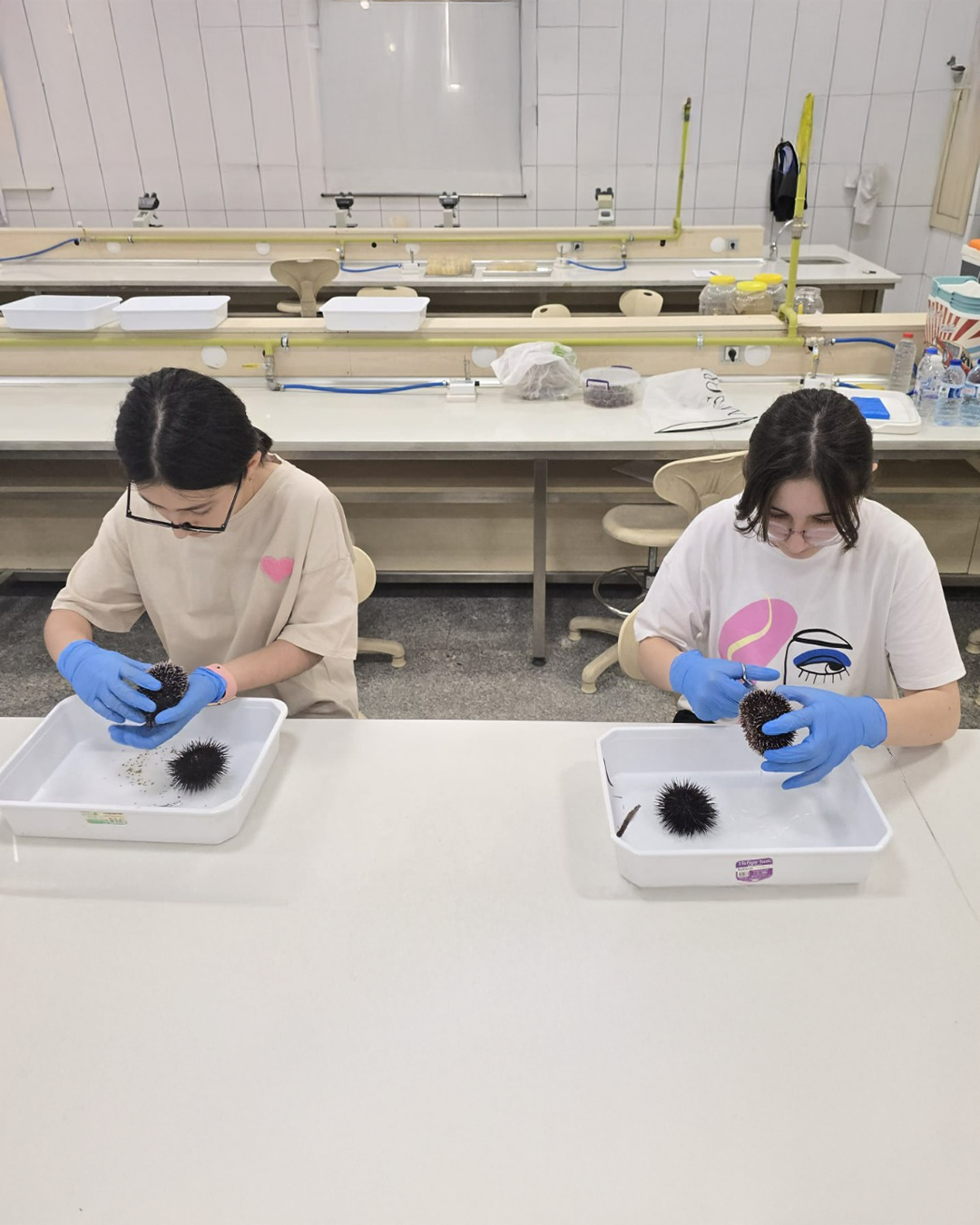 Beynəlxalq olimpiadaya qatılacaq komanda üzvləri laboratoriya hazırlıq dərslərinə cəlb ediliblər