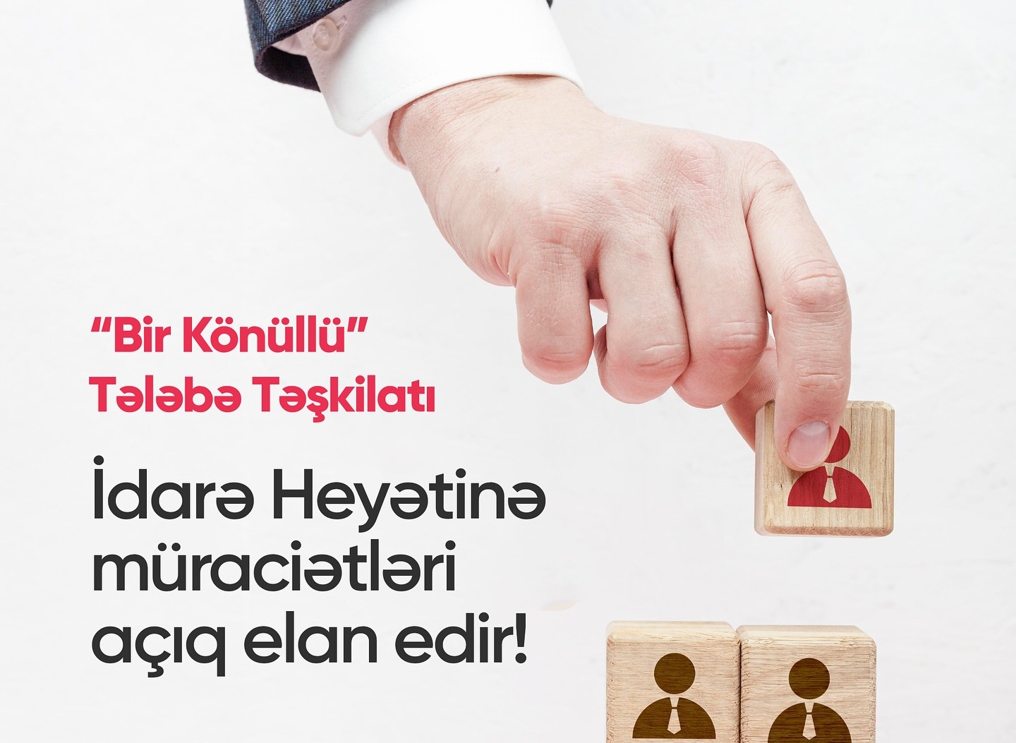 “Bir Könüllü”nün idarə heyətinə üzv seçiminə start verilib 