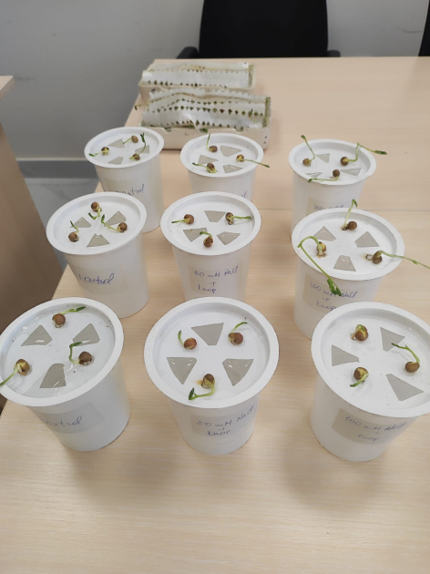 Botanika İnstitutunda tələbələrə təcrübi dərs keçirilib