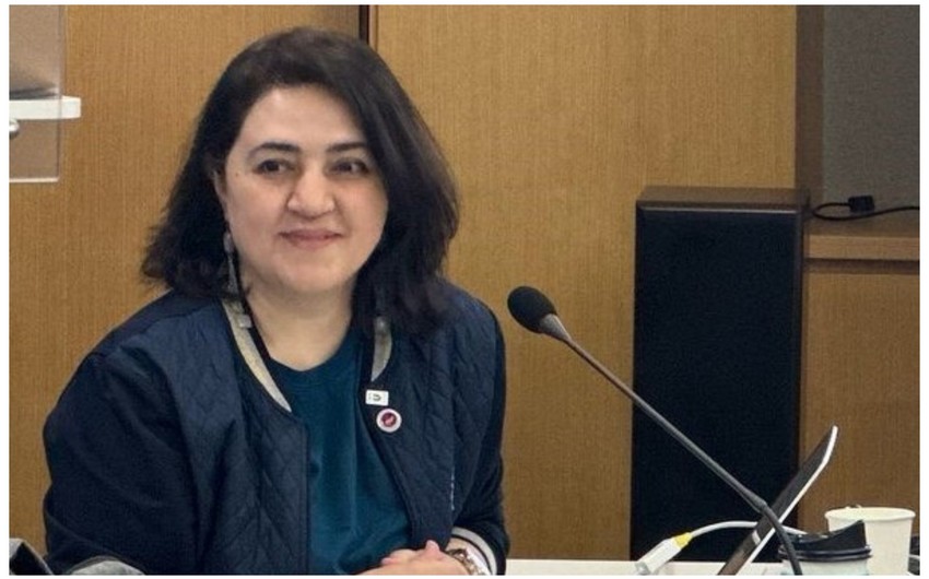 Bu instituta yeni direktor təyin olunub 