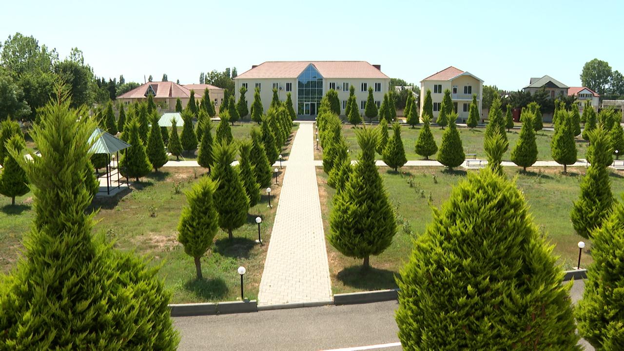 “Buradan getmək istəmirik” – Həmkarlar İttifaqının istirahət mərkəzlərində yay tətili