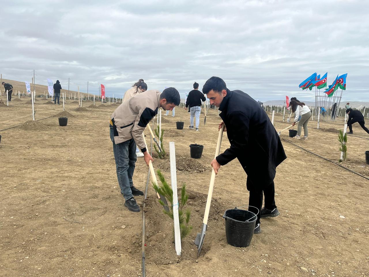 “COP29: Dayanıqlı Şəhərsalma və Ekoloji Çağırışlar” forumu uğurla yekunlaşıb