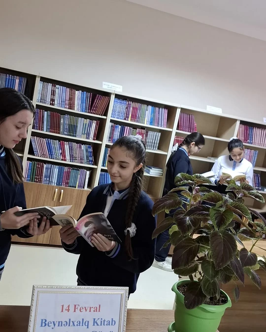 Dağ məktəbi böyük uğurunu necə qazanıb? - Naxçıvandan REPORTAJ