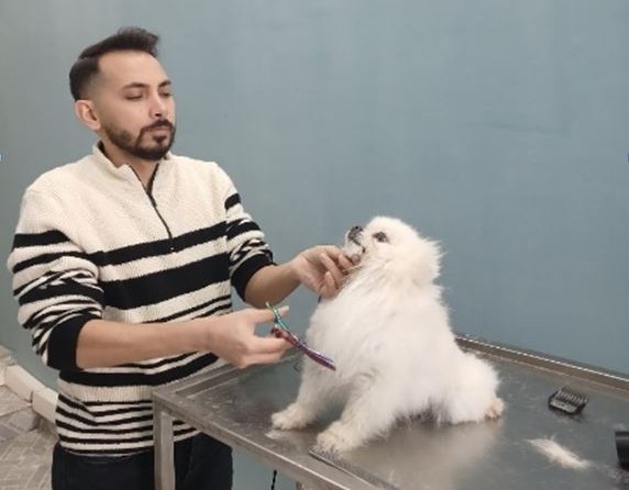 Dostluq, təhsil, sevgi… – ADAU-nun tələbələri danışır 