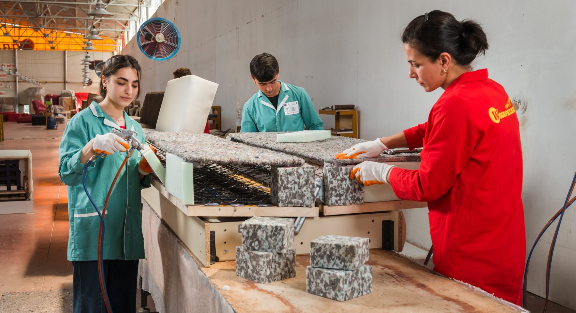 Dual peşə təhsili proqramına qəbul olanların sayı 46 faiz artıb 