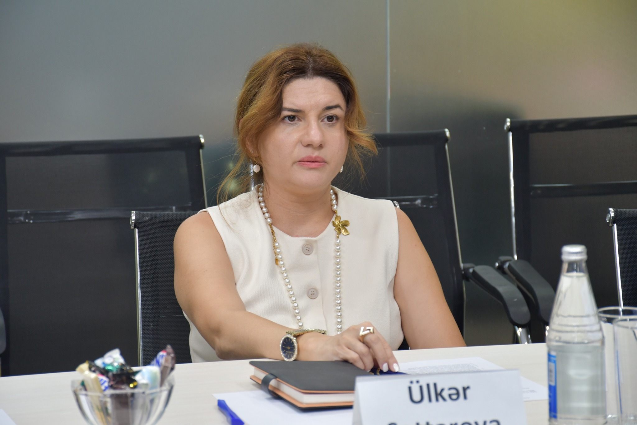 EATDA ilə AzTU nümayəndə heyəti arasında görüş keçirilib