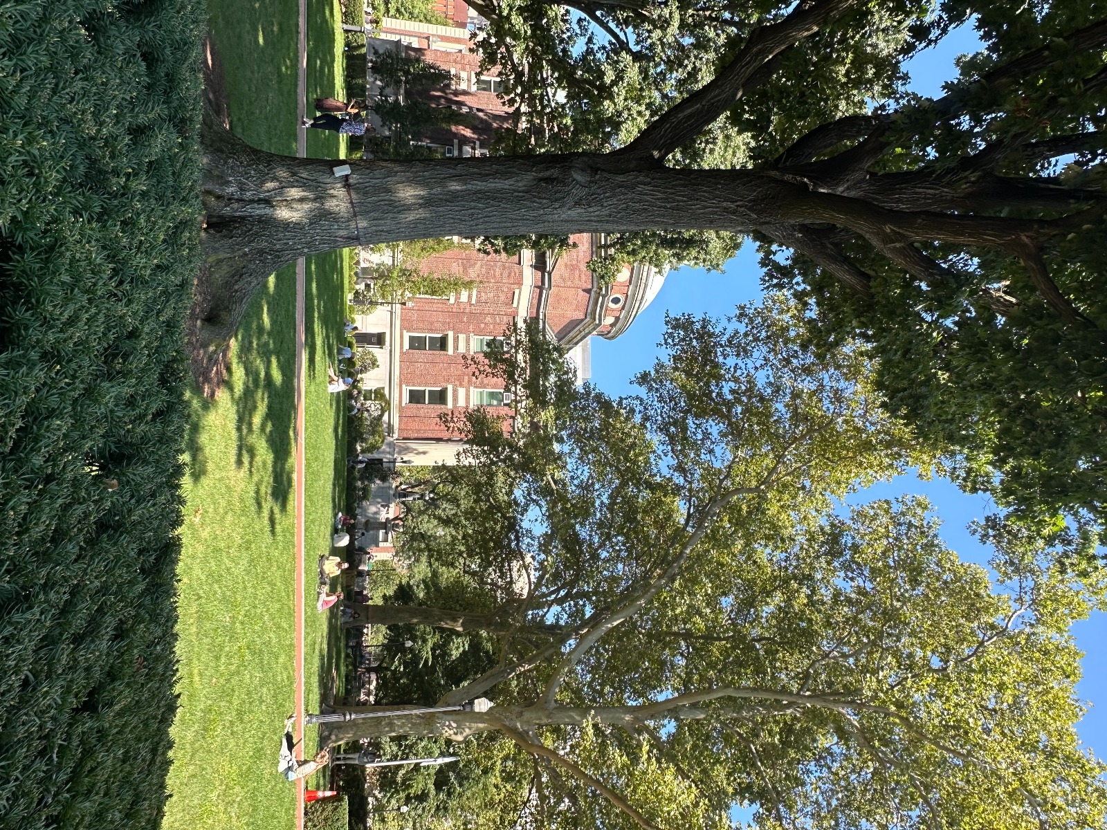 Əcnəbilər dövlət hesabına təhsil aldığımı biləndə çox təəccüblənirlər – DP təqaüdçüsü