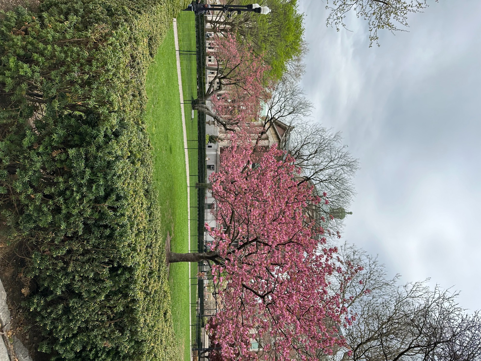 Əcnəbilər dövlət hesabına təhsil aldığımı biləndə çox təəccüblənirlər – DP təqaüdçüsü