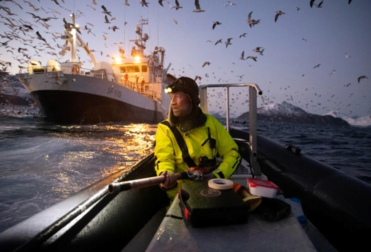 Elmin obyektivində: alimlərin çəkdiyi 11 maraqlı FOTO 