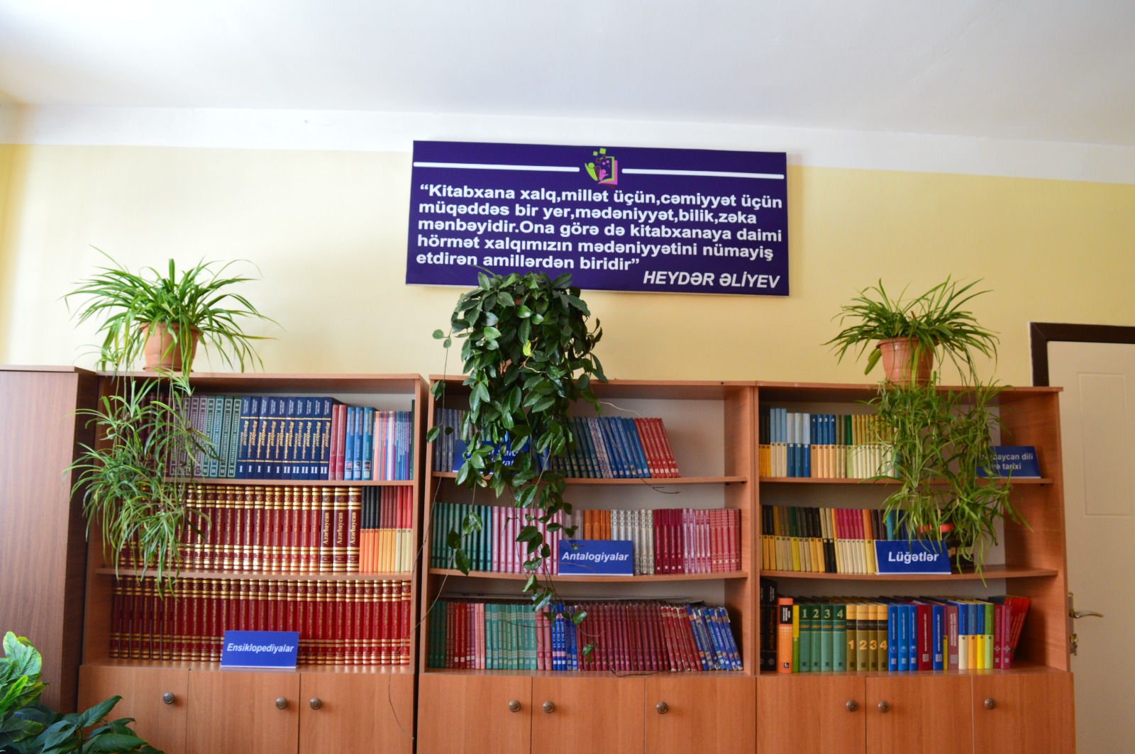 Ənənə və müasirliyi birləşdirən təhsil ocağı – Şəki məktəbindən REPORTAJ