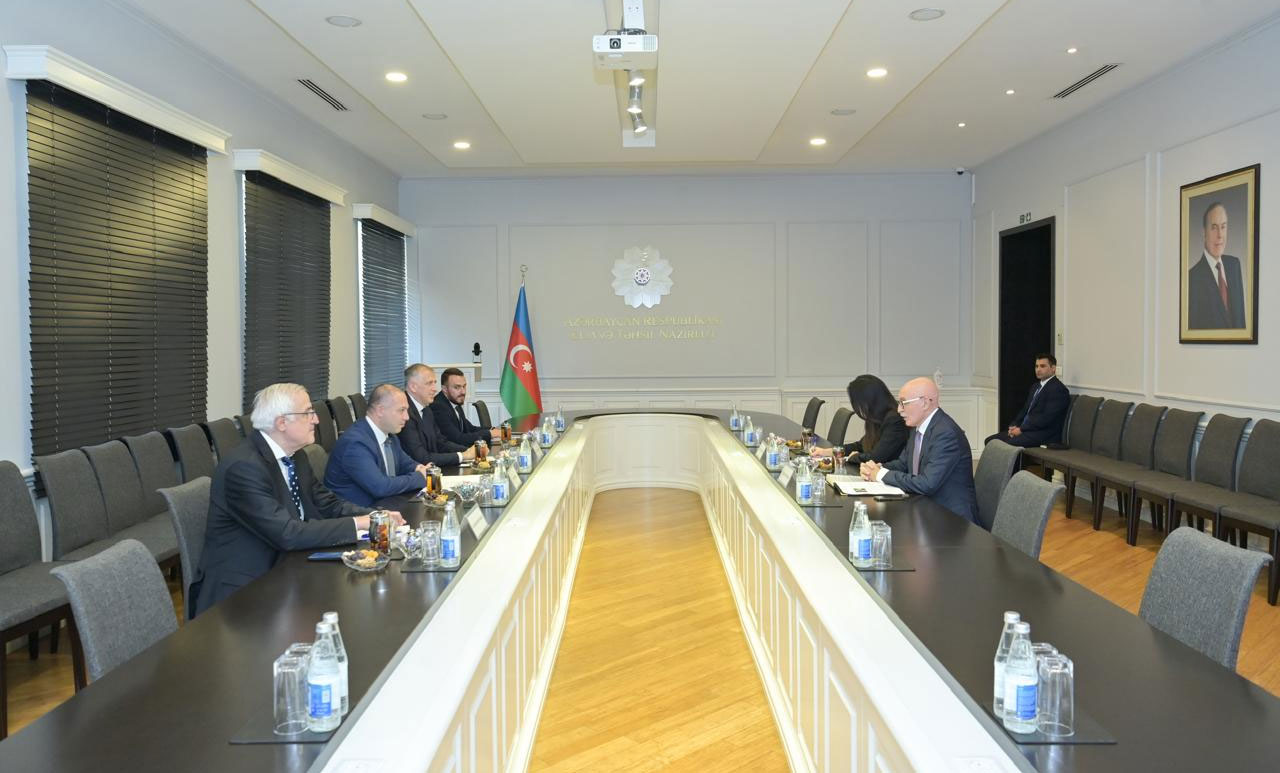 Firudin Qurbanov Gürcüstan parlamentinin komitə sədri ilə görüşüb 