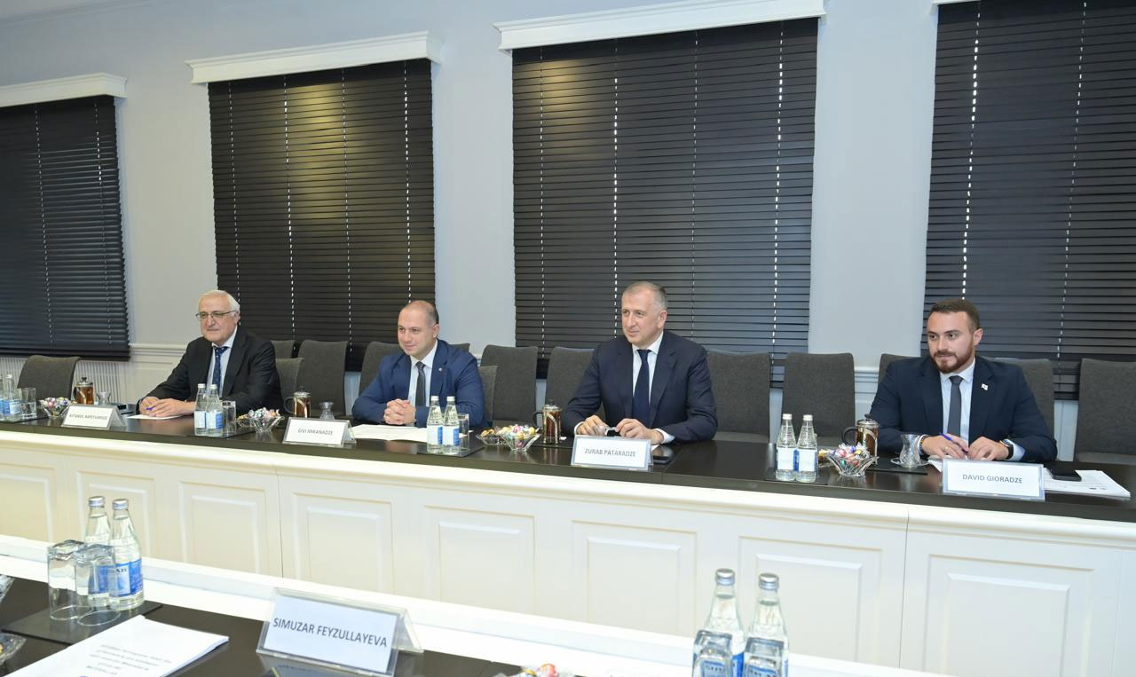 Firudin Qurbanov Gürcüstan parlamentinin komitə sədri ilə görüşüb