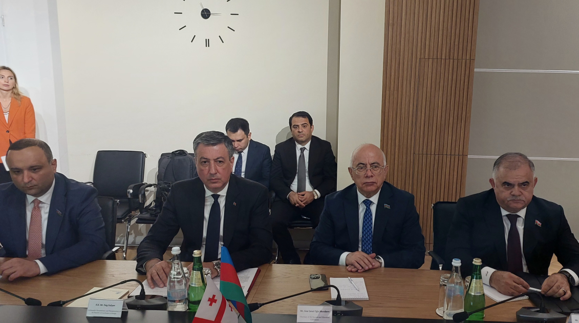 Gürcüstanın elm, təhsil və gənclər naziri Bakıda konfransda iştirak edəcək