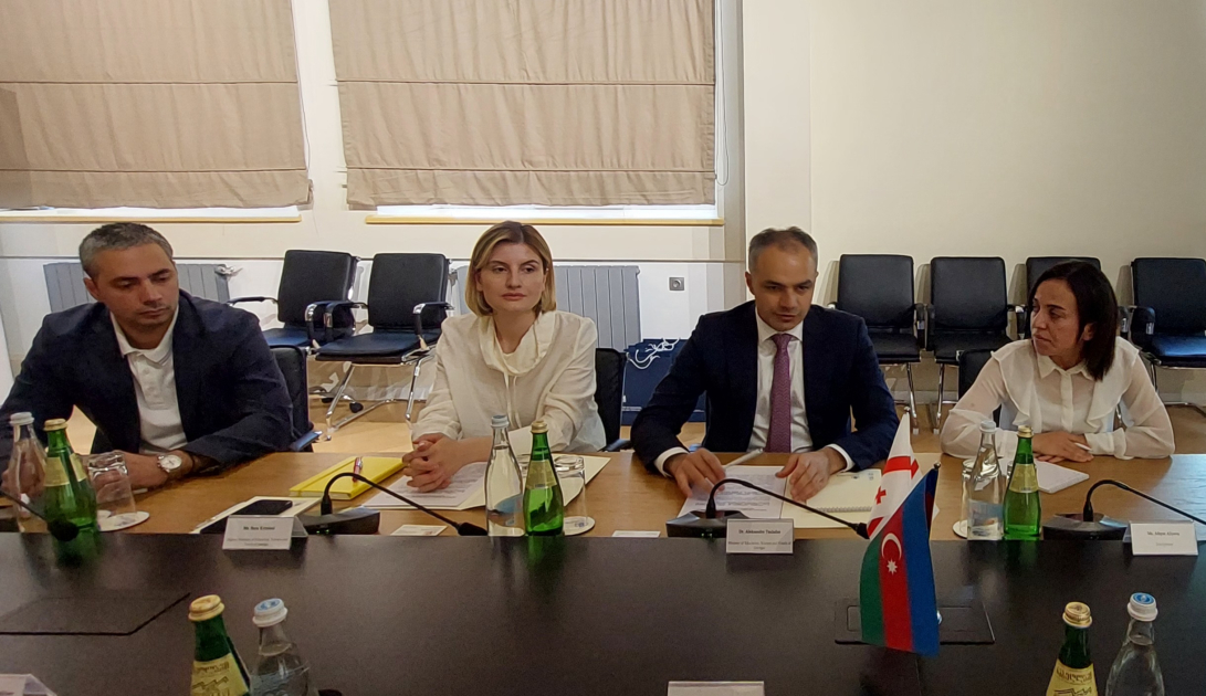 Gürcüstanın elm, təhsil və gənclər naziri Bakıda konfransda iştirak edəcək