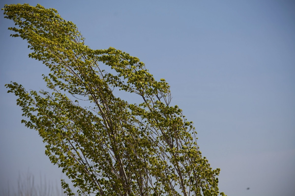 Hava şəraiti ilə bağlı xəbərdarlıq edilib 