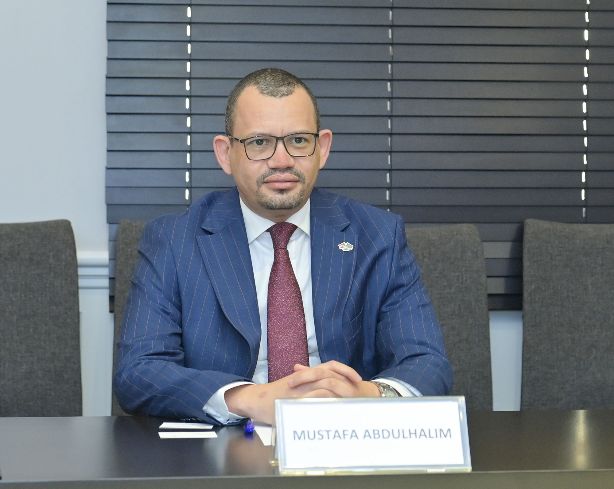 Həsən Həsənli Sudanın ölkəmizdəki səfiri ilə görüşüb