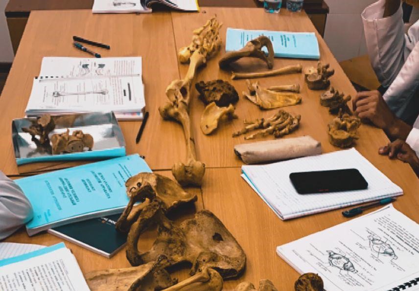 Hindli tələbə: Çoxu soruşur ki, Şah Rux Xanla tanışlığın var?