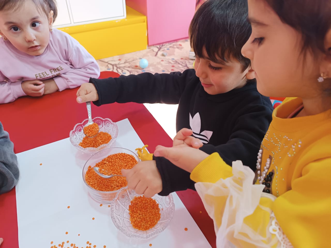 "İcma əsaslı məktəbəqədər təhsil xidmətlərinin təşkili” üzrə qrant layihə davam edir