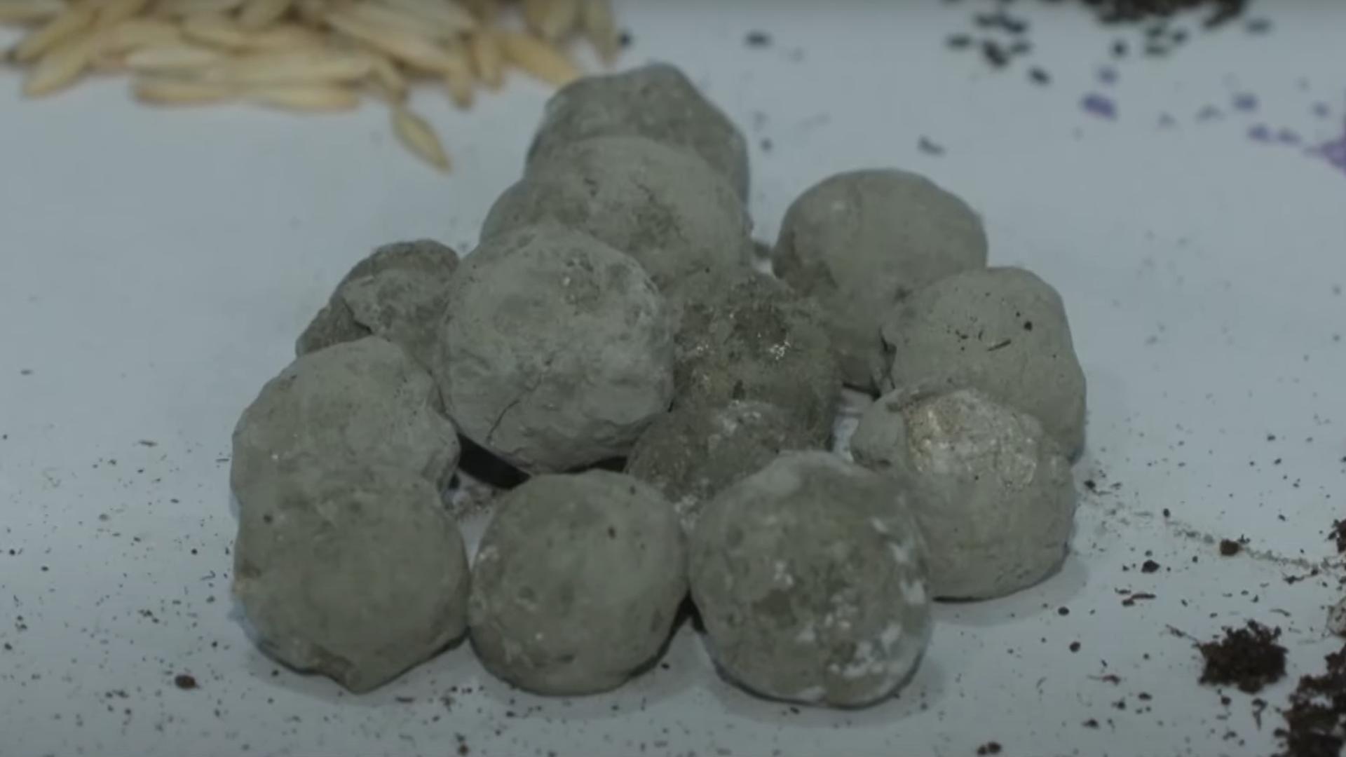 İdeyalarını biznes layihələrinə çevirirlər – İnnovasiya Mərkəzinin startapları 