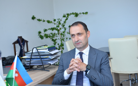 ARTİ rəsmisi: “Uşaq hansı fəndən daha yaxşıdırsa, ona daha çox vaxt ayırmalıdır” 