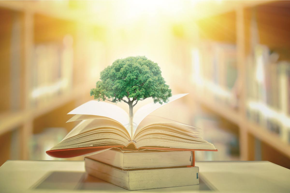 İqlim fəaliyyəti üçün təhsil: təhsilin milli səviyyədə müəyyən edilmiş töhfələrə (NDC) inteqrasiyası