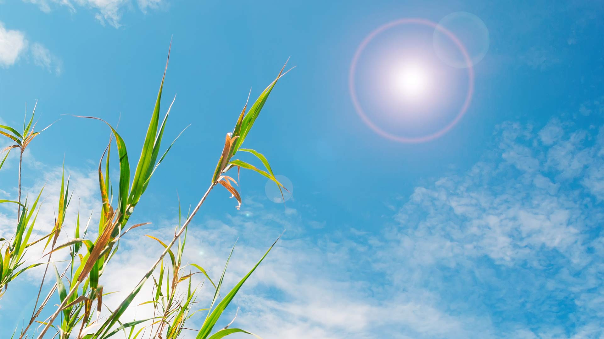 İyunun hava proqnozu açıqlanıb 