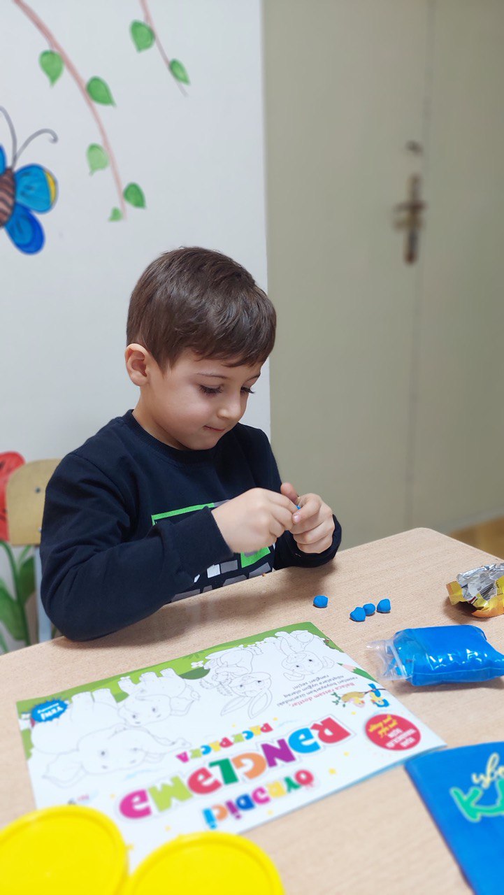 "Könüllü addımlar" layihəsi icra olunmağa başlayıb