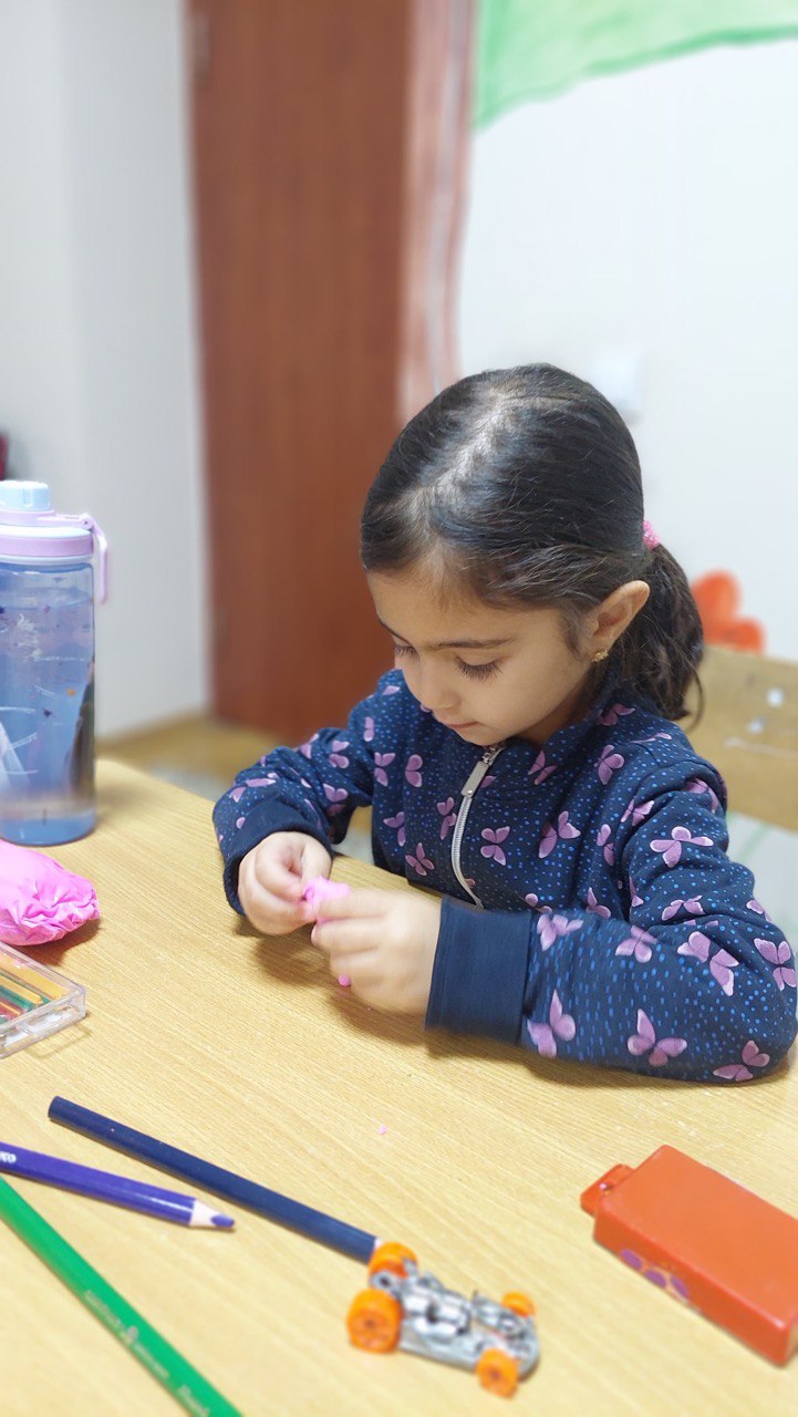 "Könüllü addımlar" layihəsi icra olunmağa başlayıb