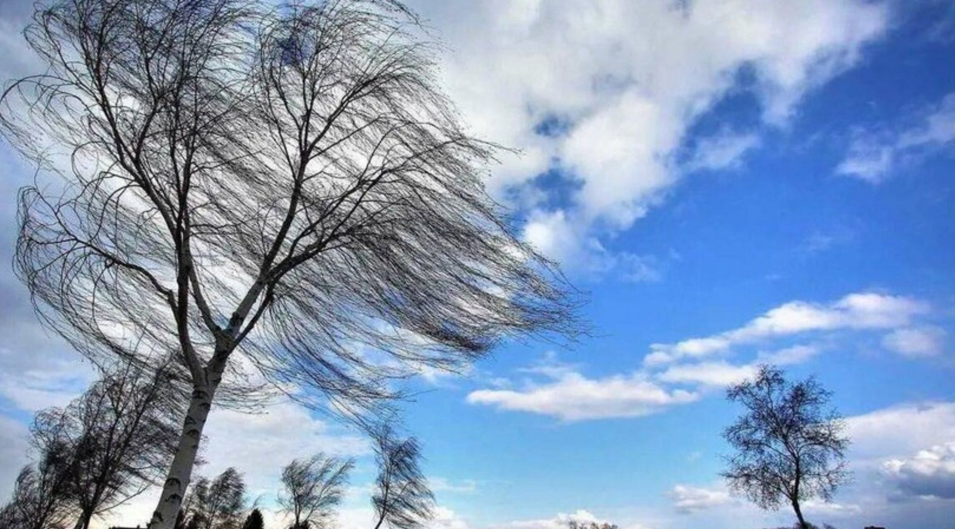 Küləkli hava şəraiti ilə bağlı sarı xəbərdarlıq verilib 