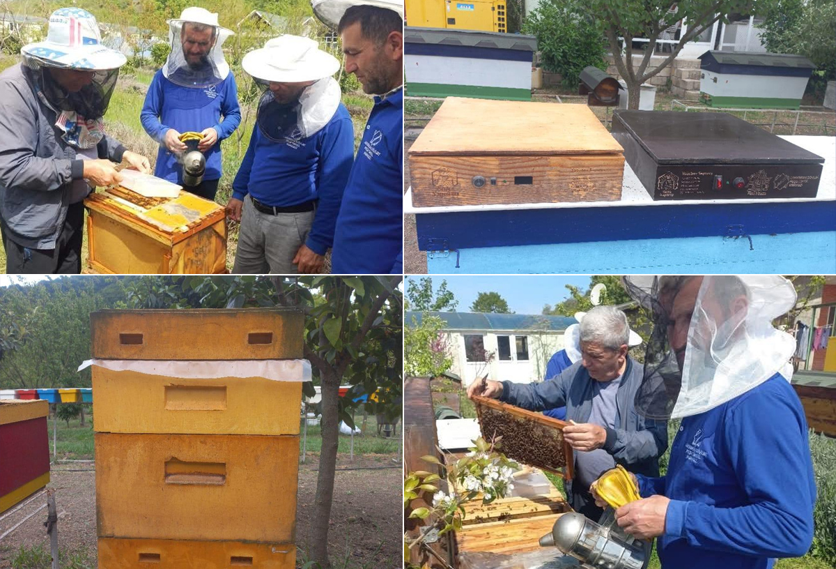 Lənkəranda Peşə Təhsil Mərkəzi arıçılıqla bağlı innovativ layihəyə dəstək oldu 