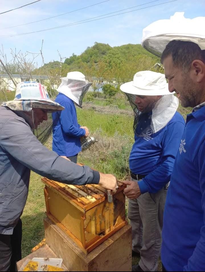 Lənkəranda Peşə Təhsil Mərkəzi arıçılıqla bağlı innovativ layihəyə dəstək oldu