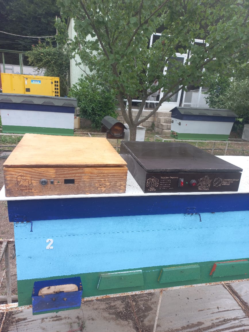 Lənkəranda Peşə Təhsil Mərkəzi arıçılıqla bağlı innovativ layihəyə dəstək oldu