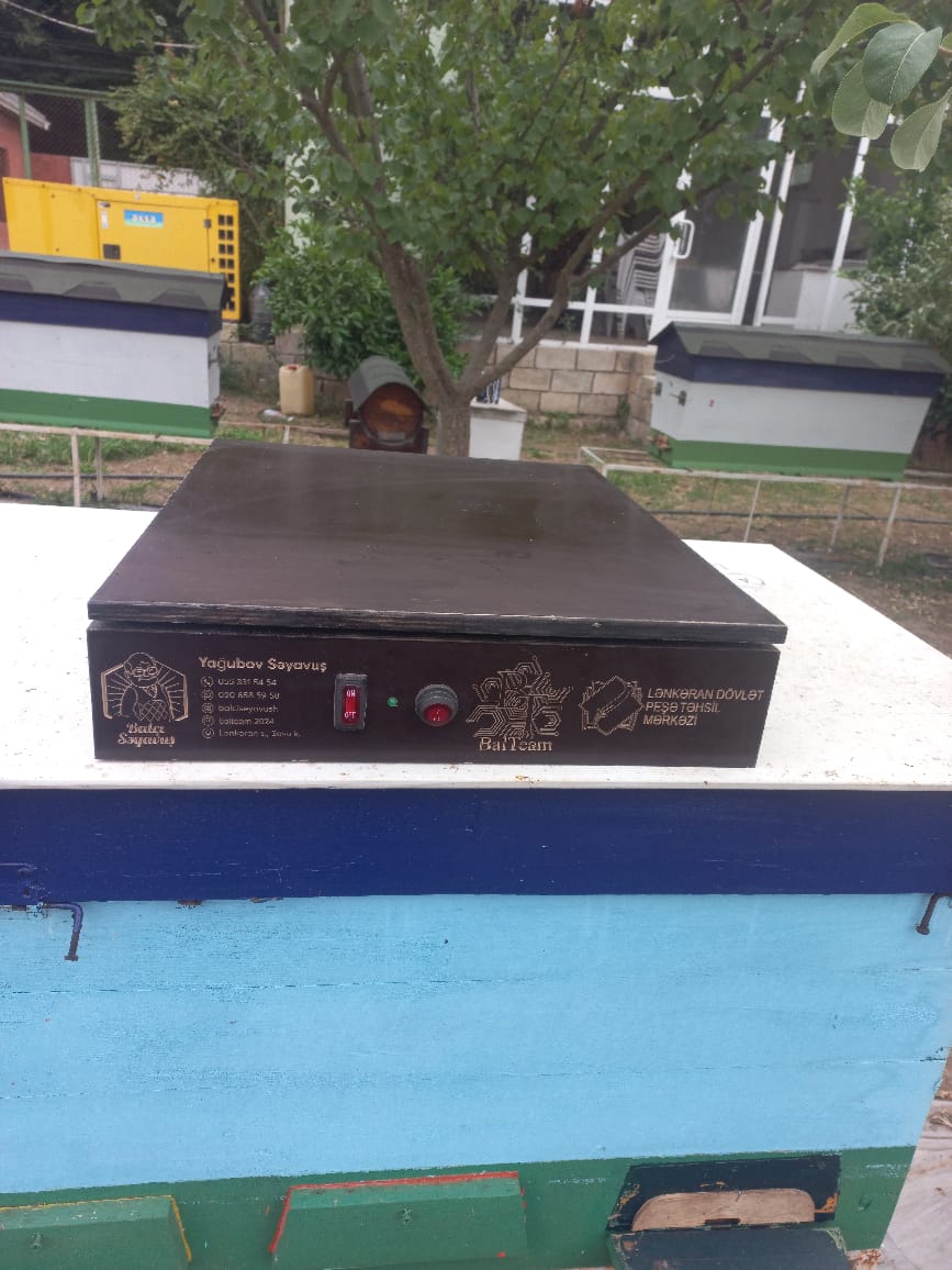 Lənkəranda Peşə Təhsil Mərkəzi arıçılıqla bağlı innovativ layihəyə dəstək oldu