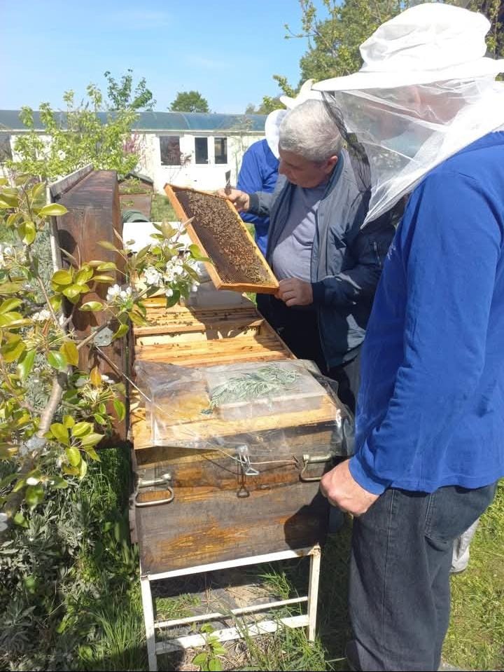 Lənkəranda Peşə Təhsil Mərkəzi arıçılıqla bağlı innovativ layihəyə dəstək oldu