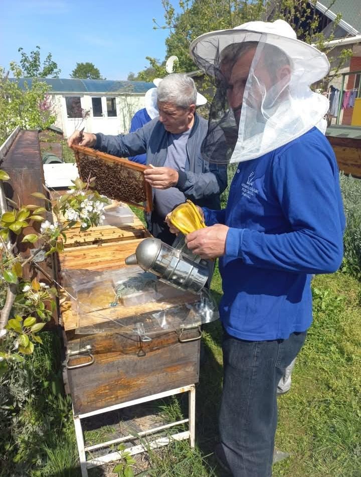 Lənkəranda Peşə Təhsil Mərkəzi arıçılıqla bağlı innovativ layihəyə dəstək oldu