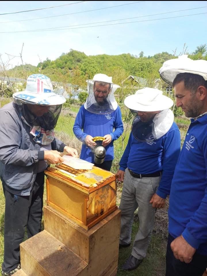 Lənkəranda Peşə Təhsil Mərkəzi arıçılıqla bağlı innovativ layihəyə dəstək oldu